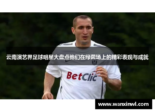 云南演艺界足球明星大盘点他们在绿茵场上的精彩表现与成就