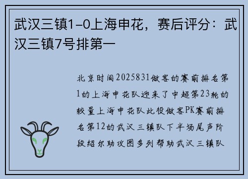 武汉三镇1-0上海申花，赛后评分：武汉三镇7号排第一